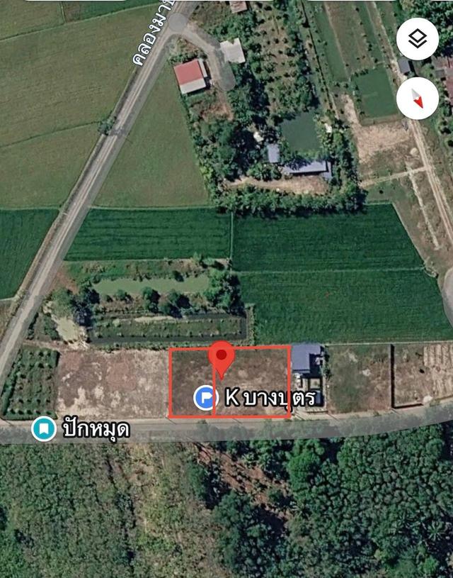 ขายที่ดิน 200 ตร.วา บางบุตร บ้านค่าย ระยอง ใกล้แยกบางบุตร 800 เมตร 3