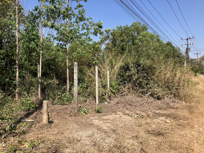 ขายที่ดินกบินทร์บุรีทำเลดีเนื้อที่ 1 ไร่ ซอยวัดคชรัตน์ ใกล้ถนนสี่เลน304เพียง500เมตร จ.ปราจีนบุรี 4