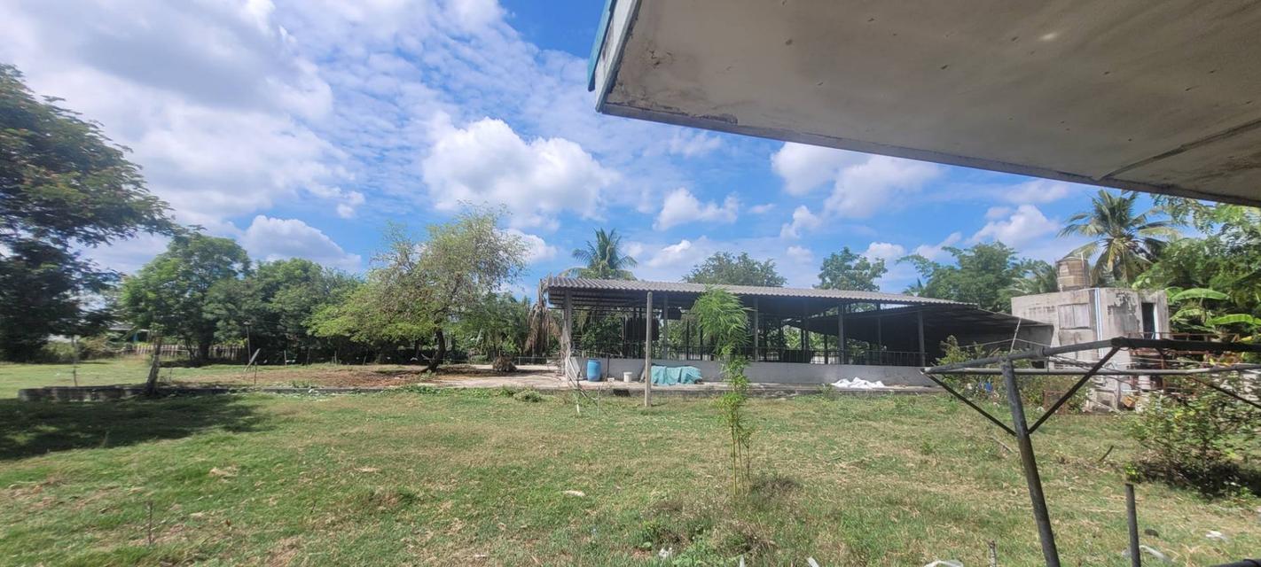 🏡✨ ขายที่ดินพร้อมบ้านพักตากอากาศ บรรยากาศธรรมชาติ ใกล้มอเตอร์เวย์ M81 ✨🏡 📍ต.ยางม่วง อ.ท่ามะกา จ.กาญจนบุรี เนื้อที่ทั้งหมด 3 ไร่ 1 งาน 11 ตารางวา 10