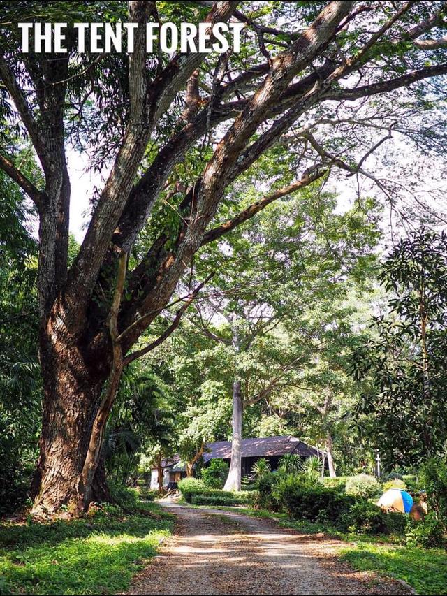 ที่ดินให้เช่า พร้อม อาคาร 1