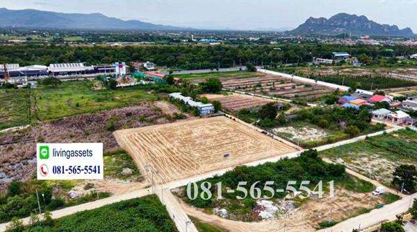 ขาย ที่ดินชะอำ เพชรบุรี ใกล้ถนนใหญ่และใกล้หาดเพียง 800 เมตร ถมแล้ว ราคามิตภาพสุดๆ น้ำไฟถนนพร้อม 3