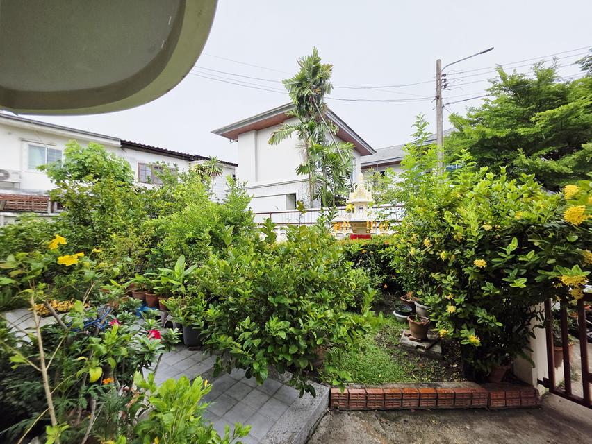 บ้านเดี่ยว Home Place หลังมุมร่มรื่นน่าอยู่ พื้นที่เยอะ 11