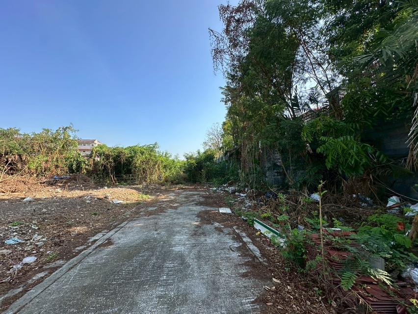 ที่ดินเปล่า 353 ตร.ว. แปลงสวย ถนนแบริ่ง - ลาชาล (ซอย แบริ่งตัดใหม่ 7) ใกล้BTS แบริ่ง 7