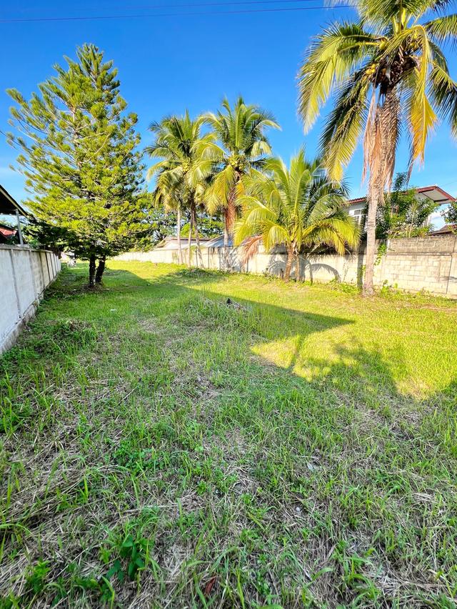 ขายที่ดินเปล่าเนื้อที่ 282 ตารางวา บ้านป่าข่า ตำบลหัวง้ม อำเภอพาน จังหวัดเชียงราย 12