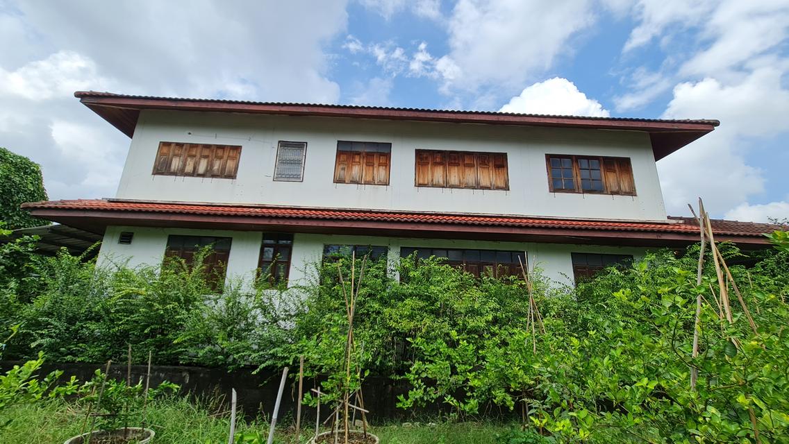 [ขายด่วน] ที่ดินแปลงใหญ่ 498 ตร.ว. พร้อมบ้านหลังใหญ่ ติดคลอง บรรยากาศร่มรื่น ย่านบางกรวย 5