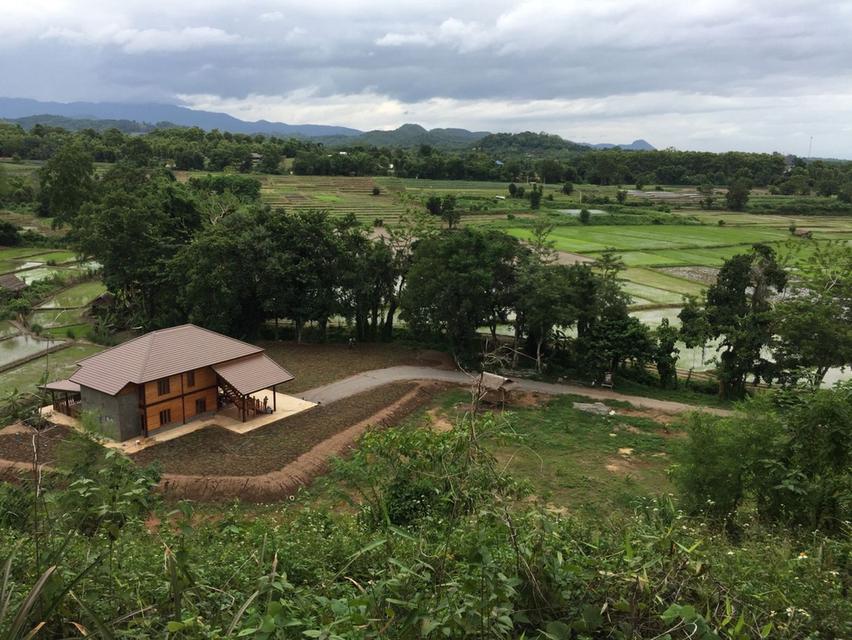 開放販售 房子在溪邊，山景 6