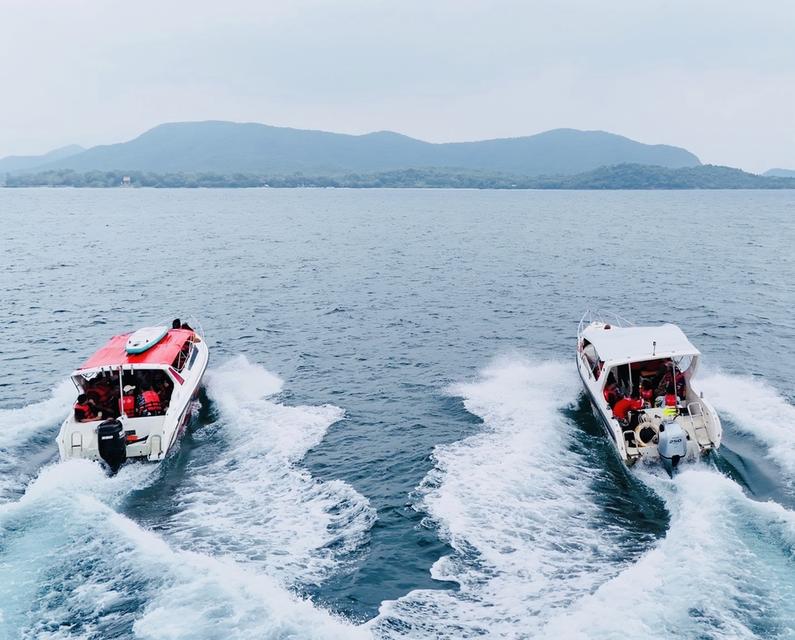 โปรแกรม SM115 ทัวร์ดำน้ำแสมสาร  One day trip ราคา 1,800 บาท รวมทุกอย่าง จาก กทม. 8