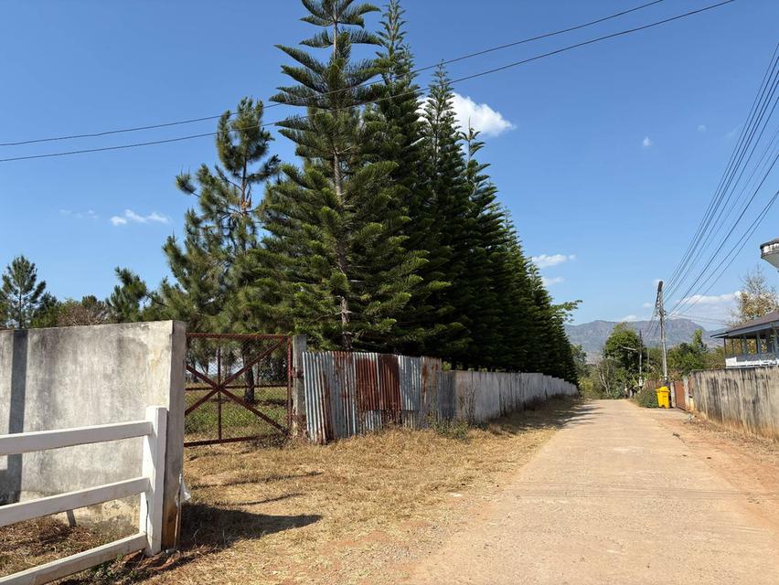 ที่ดินสถานที่ท่องเที่ยว ครุฑแดง หน้ากว้าง 67 ม ซีเมนต์ ระบบนำ้ - ไฟฟ้าเข้าถึง 12