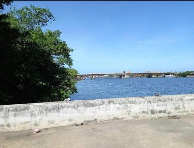 ที่ดิน ขายที่ดินพร้อมสิ่งปลูกสร้าง 7 ไร่ 3 งาน 78 ตร.ว. ด้านหลังติดแม่น้ำเจ้าพระยา 4