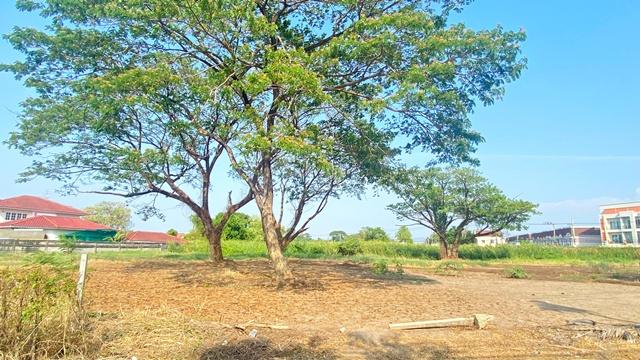 MRT บางรักน้อยท่าอิฐ 2.4กม. แยกท่าอิฐ ราชพฤกษ์ ให้เช่าที่ดินถมแล้ว 2ไร่ 2งาน 76ตร.วา. ตลาดสดท่าอิฐ 1.2 กม. สนามไดร์ฟกอล์ 3