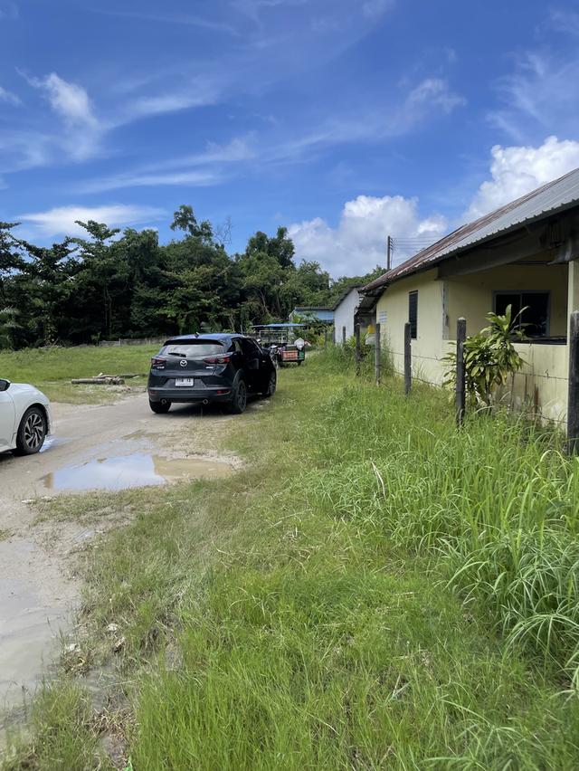 ขายที่ดินตัวเมืองระนองขนาด 1 ไร่ 37 ตร.ว. 9