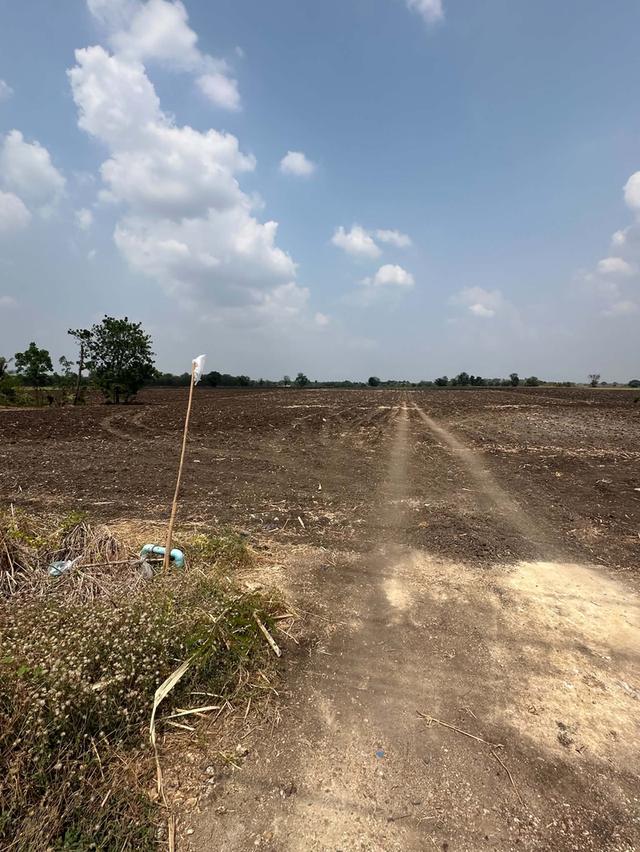 ที่ดิน อำเภอพัฒนานิคม จังหวัดลพบุรี 1