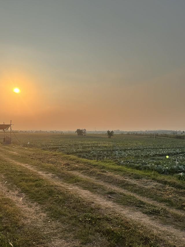 ที่ดิน ปากช่อง เขาใหญ่ โฉนดครุฑแดง 2