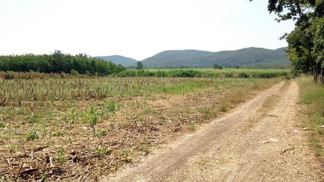 รูป ที่ดิน ที่ดินบ้านโป่งตะขบ อ.วังม่วง จ.สระบุรี 6500000 BAHT ใกล้ ห่างจากเขื่อนป่าสักชลสิทธิ์ ประมาณ 15 กม. ทำเลเด่น สระบุ 2