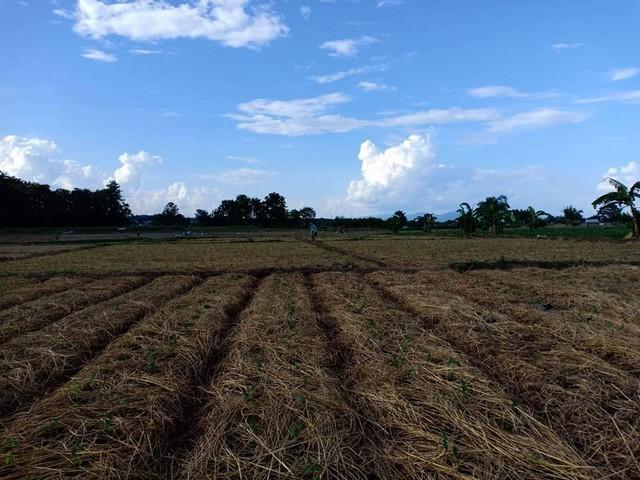 บ้านที่ดินทำเลดีที่ตั้งเยี่ยม ที่สวยติดแม่น้ำน่าน น้ำใสไหลรินตลอดปี ต.ศรีภูมิ อ.ท่าวังผา จ.น่าน ขาย 800000 วิวดีสวยมาก 0 2