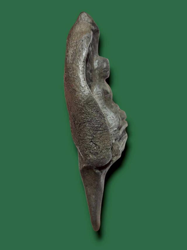 พระรอด เปิดให้บูชาจ้า รูปที่ 2