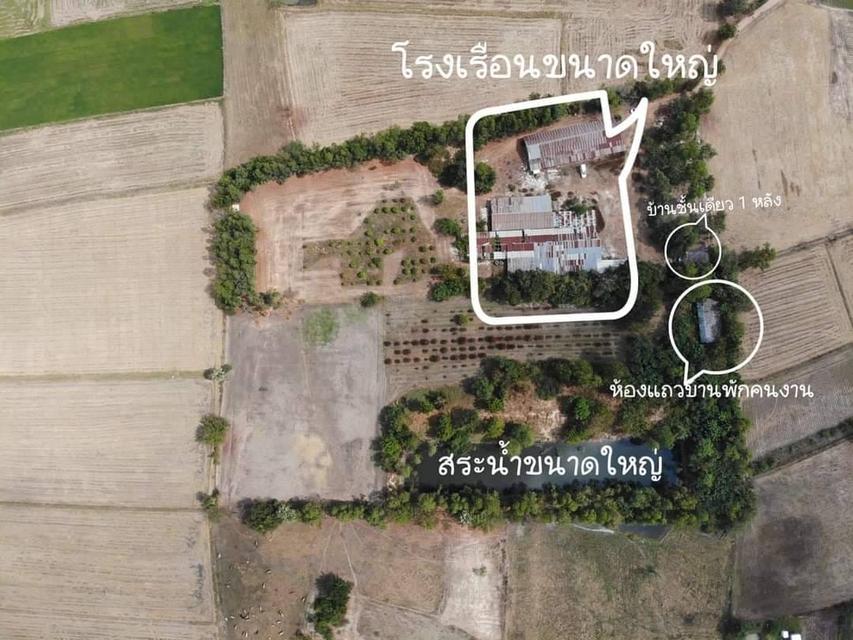 ที่ดิน 21 ไร่ 1 งาน จังหวัด สุพรรณบุรีฯ 5