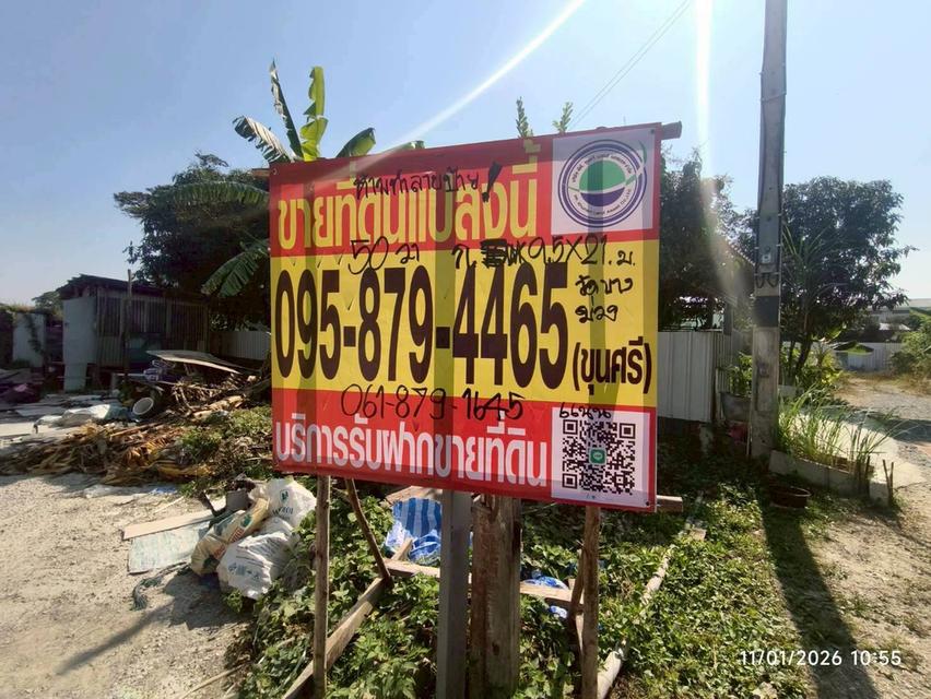 ขายด่วนที่ดินซอยวัดบางม่วง 50 ตรว ติดถนนสาธารณะ ถมแล้ว อ.บางใหญ่ จ.นนทบุรี 1