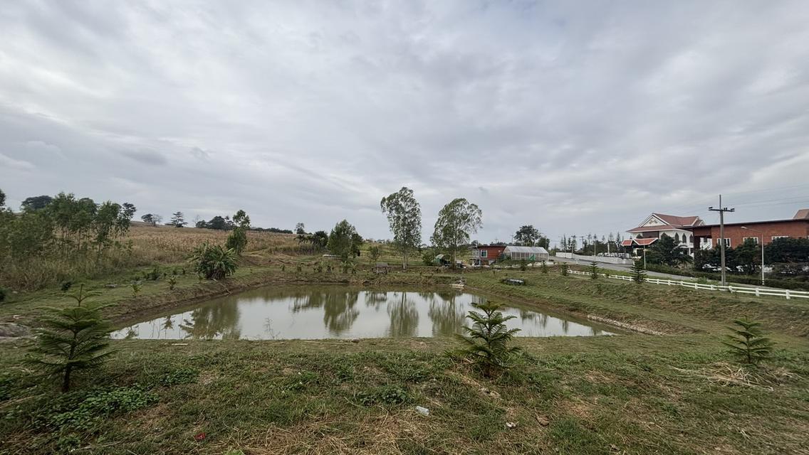 ที่ดินเปล่า 7 ไร่ 2 งาน ไร่ละ 9แสน แบ่งได้ อ.วังน้ำเขียว 3