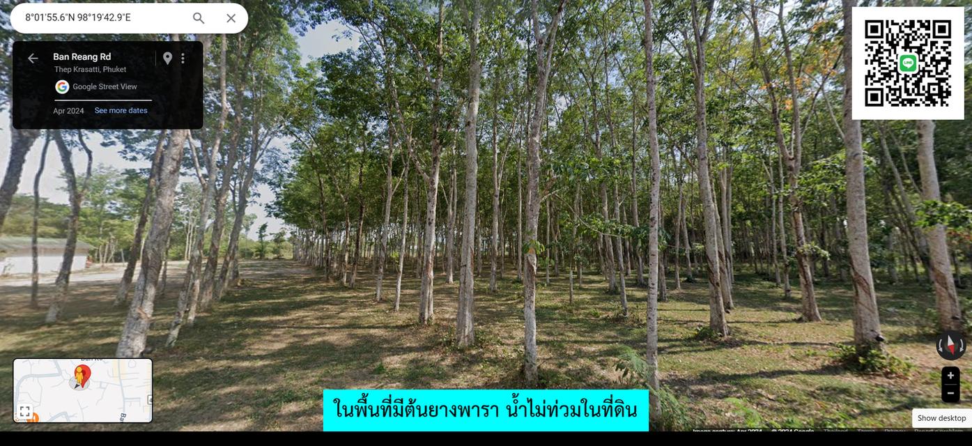 Land for Rent – Prime Location in Phuket! Ideal for Homestay, Restaurants, Café, Spa, Yoga, Boxing Camp, Parking Lot or Warehouse 8