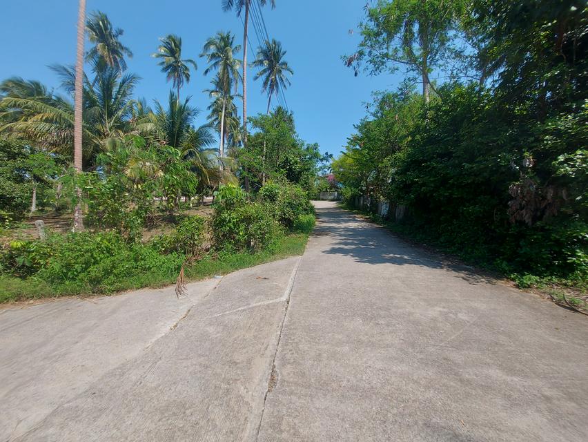 Land for sale in Thong Chai Subdistrict, Bang Saphan District, Prachuap Khiri Khan. Located close to the sea,.(approximately 6,304 square meters). 6