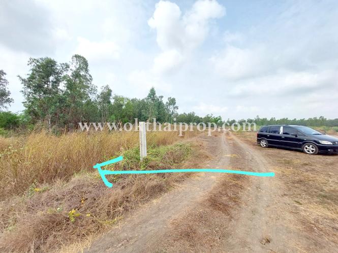 ที่ดิน ถนน3111 อ.บางไทร จ.อยุธยา 8