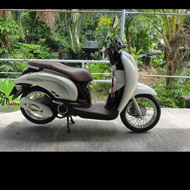 Honda scoopy i 2010 สภาพนางฟ้า สีขาว รูปที่ 2