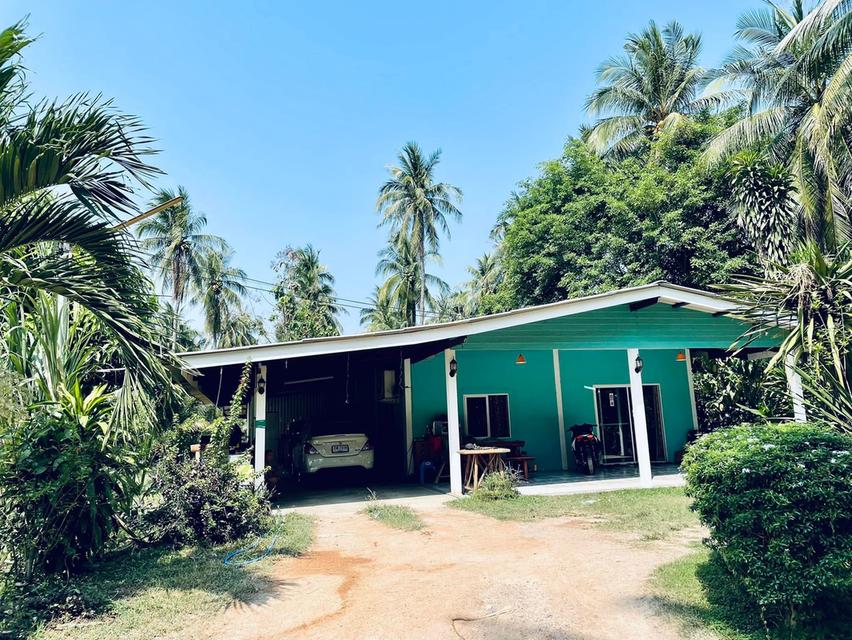 บ้าน สวนผลไม้ และที่ดิน จำนวน10ไร่ 11