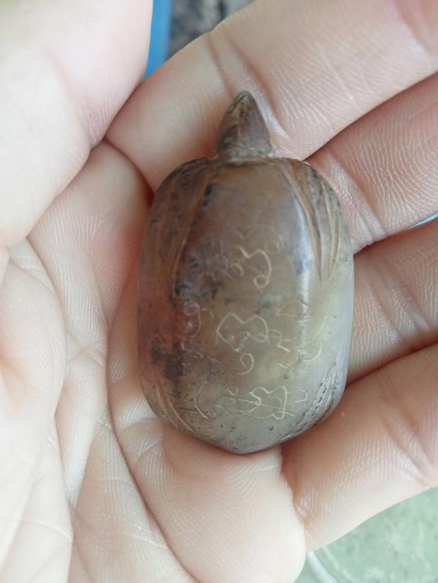 เต่า หลวงพ่อสนิท วัดลำบัวลอย 5