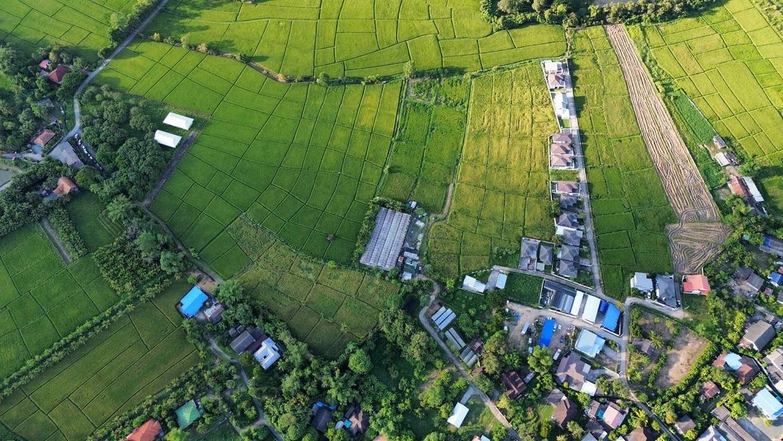 ที่ดินเปล่า ย่านชุมชน ใกล้เมือง เข้าออกสะดวกหลายทาง บรรยากาศดี เหมาะแก่การทำเกษตร บ้านจัดสรร รีสอรท์ ศูนย์ปฏิบัติธรรม 3