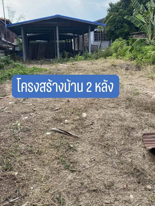ที่ดินพร้อมโครงสร้างบ้าน 2 หลังบ้านหลักศิลาตำบลพระกลางทุ่งอำเภอธาตุพนมจังหวัดนครพนม 1