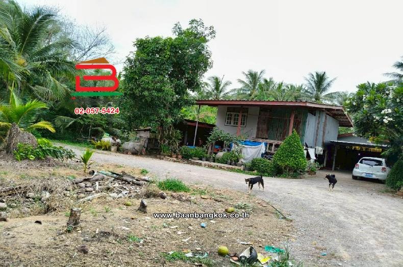 ที่ดินเปล่า ท่านัด-ดำเนินสะดวก เนื้อที่ 137 ตร.ว (ใกล้โรงพยาบาลส่งเสริมสุขภาพตำบลท่านัด) ตำบลท่านัด อำเภอดำเนินสะดวก จังหวัดราชบุรี 6
