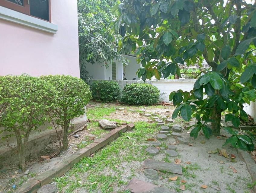 🏡ขาย บ้านเดี่ยว หมู่บ้านชวนชื่น บางนา บางบ่อ สมุทรปราการ 99 ตร.ว 20