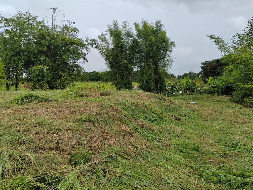 ขายที่ดินวิวสวยเชียงใหม่คันคลอง-เส้นเลี่ยงเมืองสันป่าตอง 13