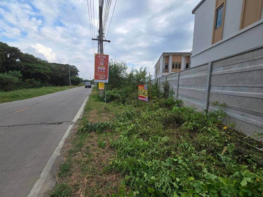 ขายที่ดิน 26 ไร่ 85 ตรว ติดถนนลาดยางสาธารณะ ระแหง ลาดหลุมแก้ว ปทุมธานี 3