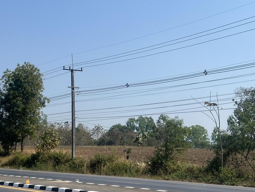 ขายที่ติดถนนใหญ่ 99 ไร่ 4