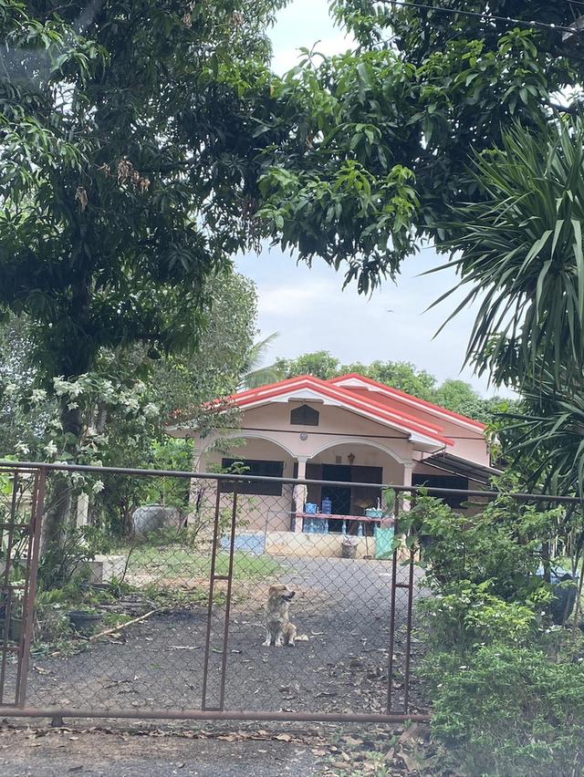 บ้านพร้อมที่ดิน อ.ครบุรี จ.นครราชสีมา 1