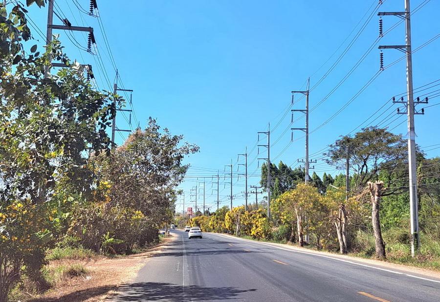 ขายที่ดินบ่อทอง 6 ไร่ ติดถนนทางหลวง ใกล้สี่แยกหนองเสม็ดชลบุรี 2