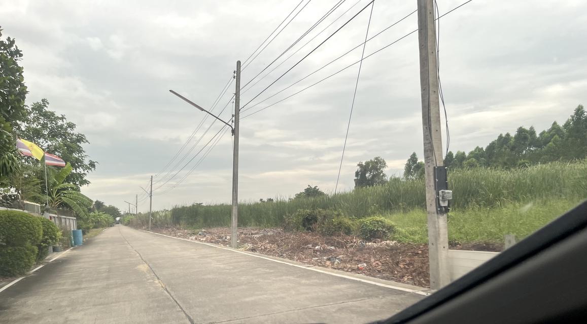 ขายที่ดิน 1 ไร่ คลอง 10 หนองเสือ ปทุมธานี 098 7755 808 5