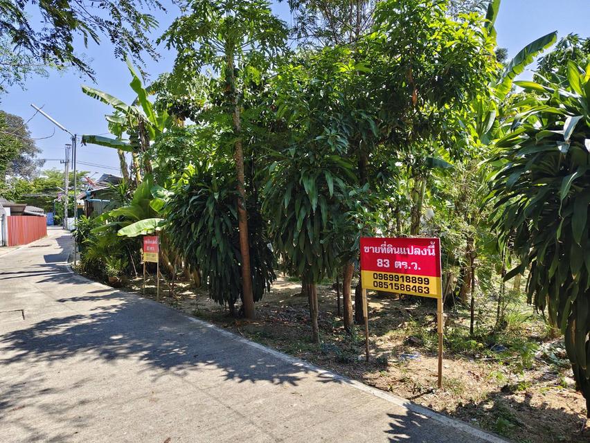 ขายที่ดินในอำเภอเมือง จังหวัดเพชรบุรี 1