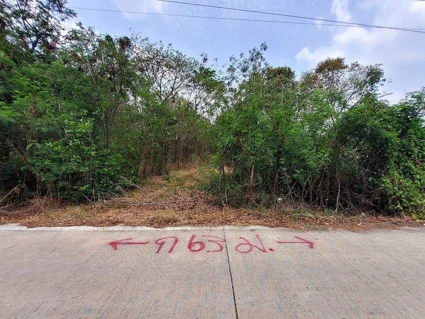 ขายถูกที่ดินคลองหก 2 ไร่ 2 งาน ติดถนนคอนกรีตสาธารณะ ซอย คลองหก ตต.31 อ.คลองหลวง จ.ปทุมธานี 2