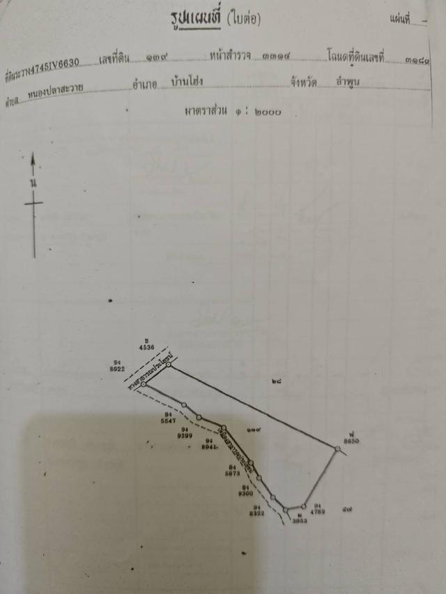 ขายที่ดินถมแล้ว 4-0-40 ไร่ น้ำไม่ท่วม เหมาะแก่การทำสวนและปลูกบ้าน ต.หนองปลาสะวาย อ.บ้านโฮ่ง จ.ลำพูน 16