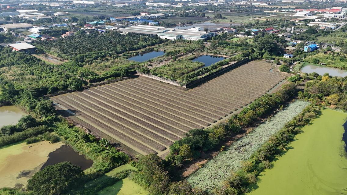 ที่ดินอสังหาริมทรัพย์ 3