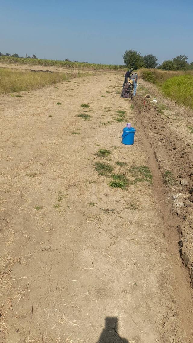 ขายที่ดิน กำแพงแสน นครปฐม แบ่งขายได้ ใกล้ ม.เกษตรศาสตร์ 8