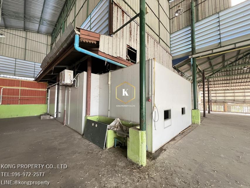 ให้เช่าโกดัง ล้งมะพร้าว พร้อมห้องเย็น สามพราน นครปฐม ขนาด 2 ไร่ 7