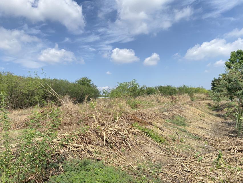 ขายที่ดินติดถนนเรียบมอเตอร์เวย์อมตะชลบุรี 22ไร่3งานเศษ บ้านเก่าบางนาง ไร่ละ12ล้าน 6