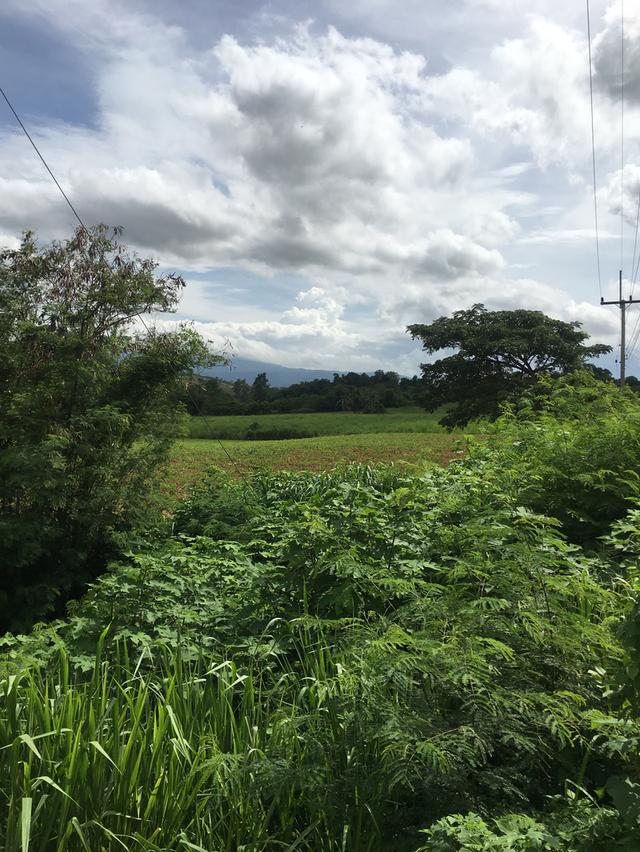 ขายที่ดินโฉนด ปากช่อง-เขาใหญ่ ติดถนนลาดยางและติดแม่น้ำ เนื้อที่ 10 ไร่ 49 ตารางวา ใกล้ถนนหลวง 2311 และตลาดน้ำเขาใหญ่ 4