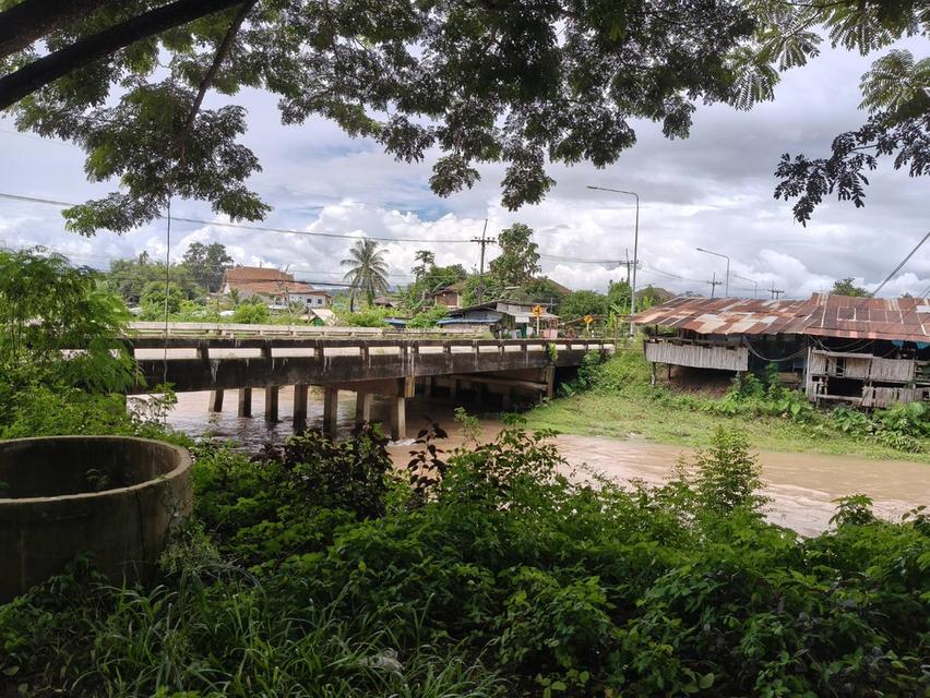 ที่ดิน ทำเลติดภูเขา จ.น่าน 7