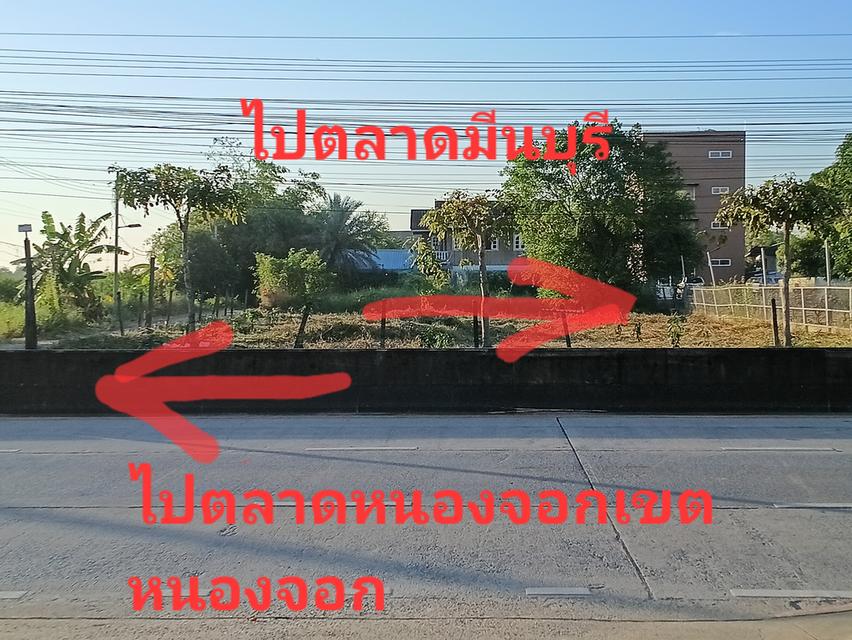 ที่ดินเปล่าหนองจอก กรุงเทพ 3