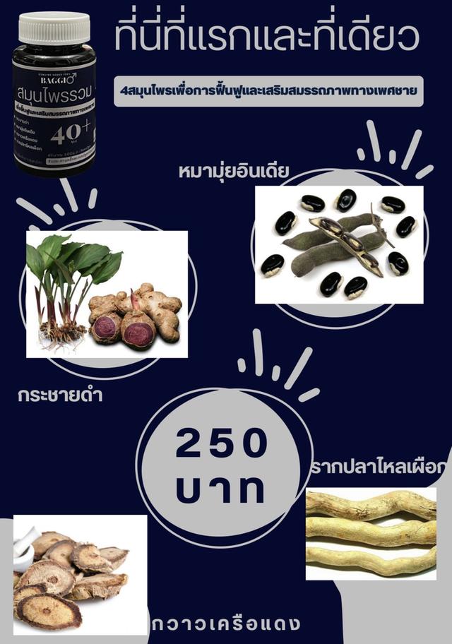 บัจโจ้ กระชายดำ หมามุ่ยอินเดีย กวาวเครือแดง รากปลาไหลเผือก สุดยอดสมุนไพรเพื่อบำบัดฟื้นฟูสำหรับชายวัยทอง รูปย่อยที่ 3